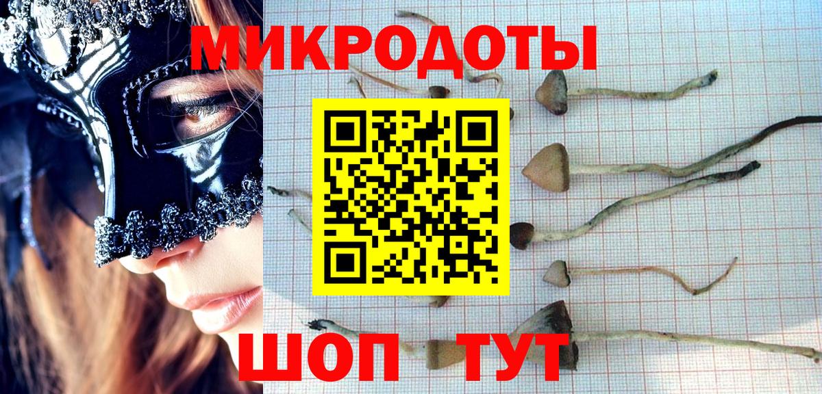 Псилоцибиновые грибы Psilocybine cubensis Дмитров