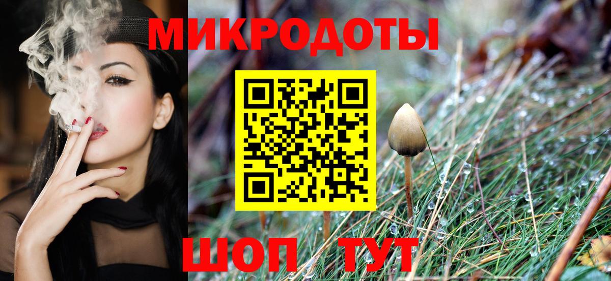 Галлюциногенные грибы мухоморы Дмитров